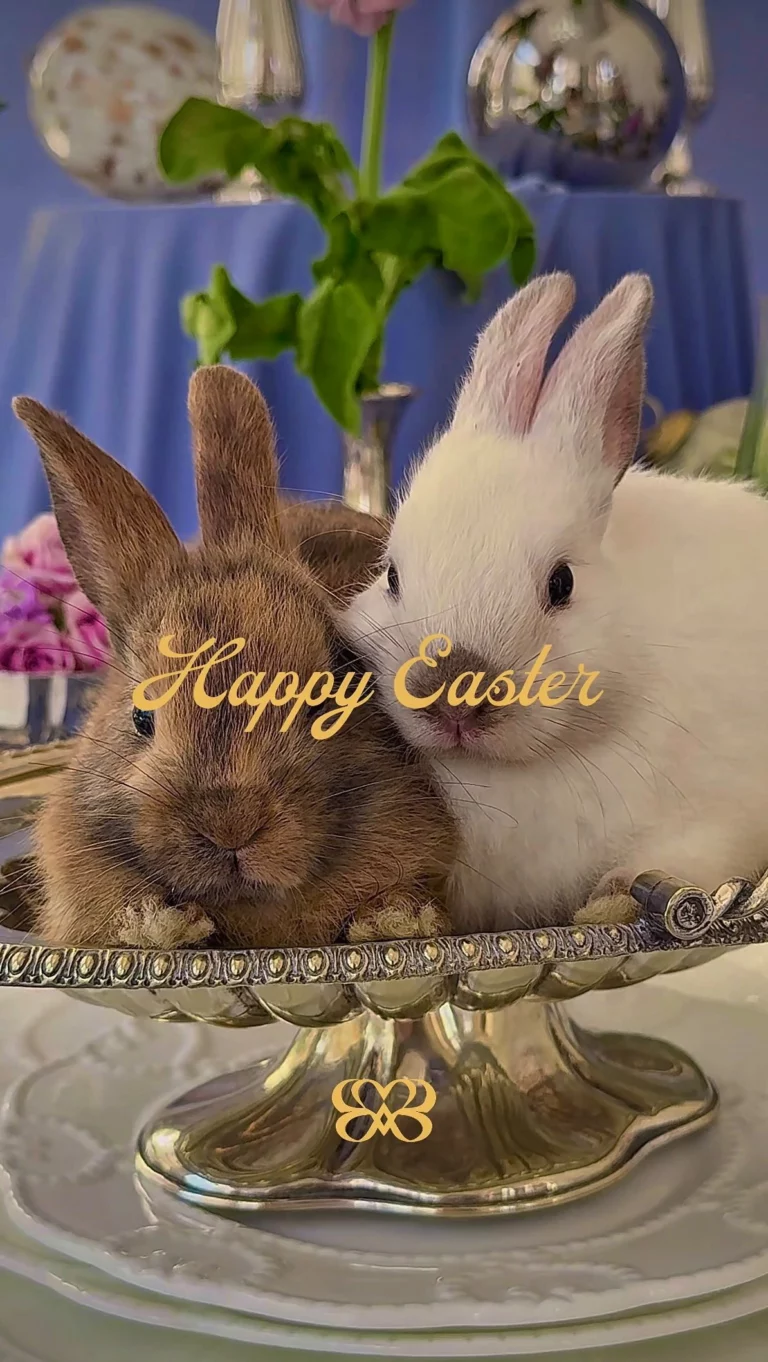 Instagram post from marriagemagic.official. This post is in position 4.